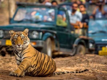 Golden Triangle Tour With Bharatpur and Ranthambore